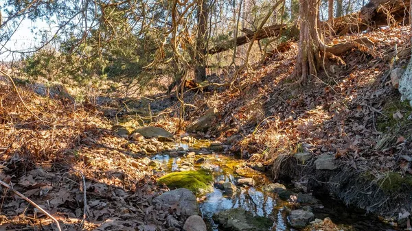 $127,575 | 0 Liesemeyer Road, Owensville, MO 65066