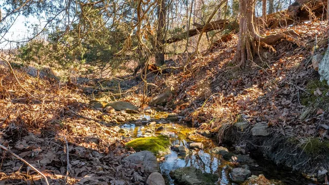 $127,575 | 0 Liesemeyer Road, Owensville, MO 65066