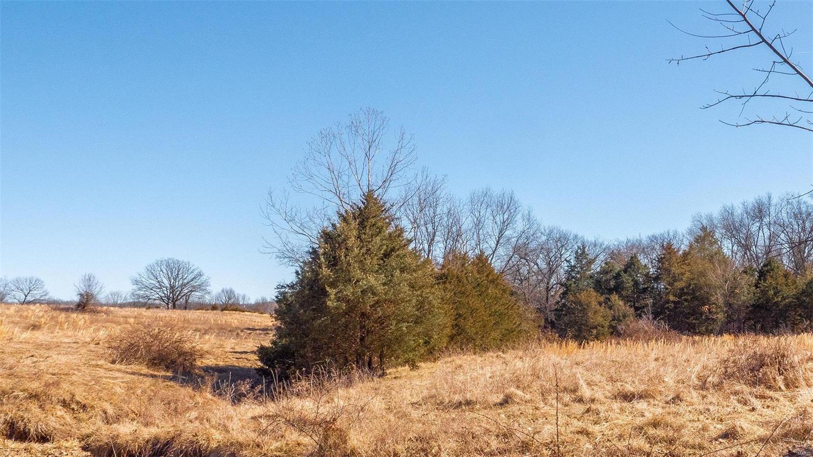 0 Liesemeyer Road Owensville, MO 65066 - Photo 14 of 29