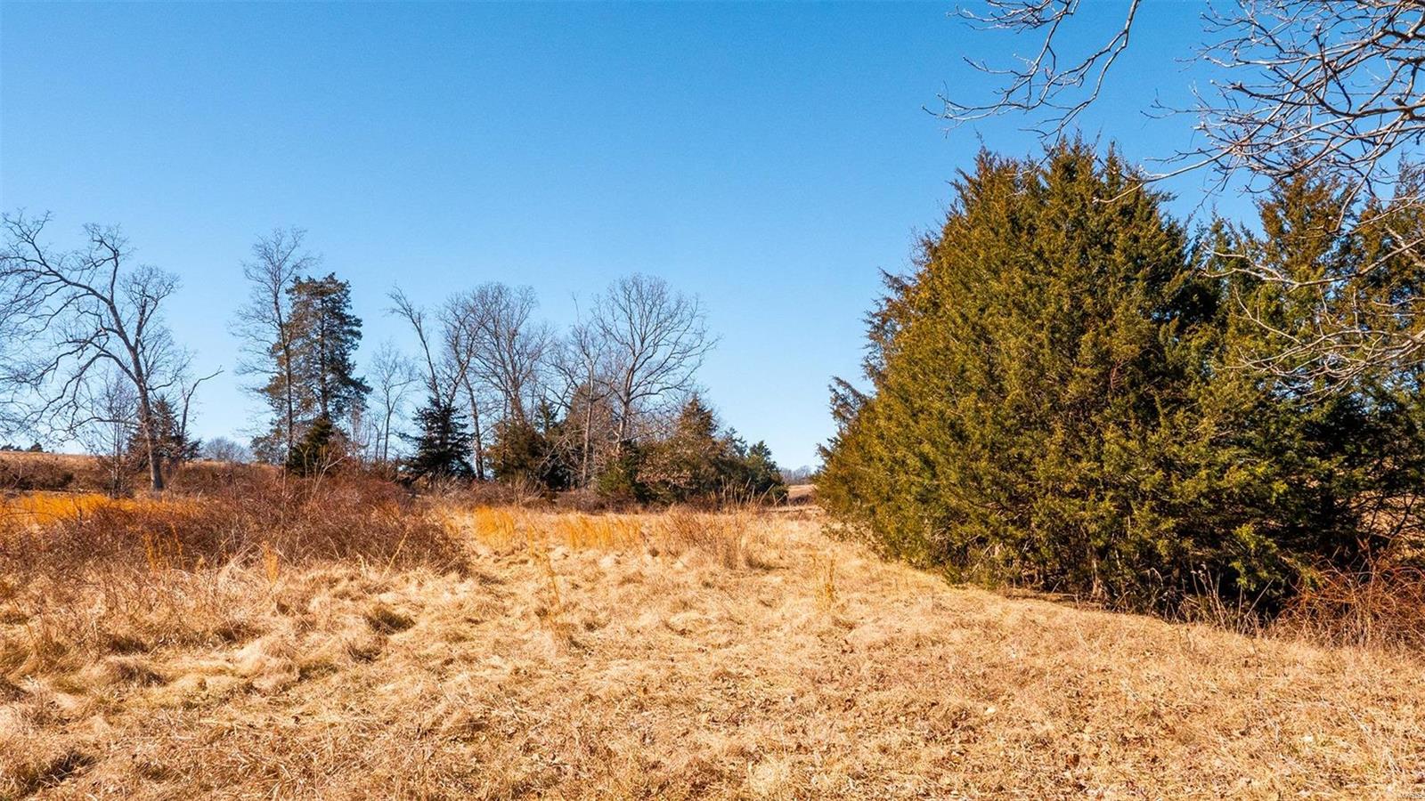 0 Liesemeyer Road Owensville, MO 65066 - Photo 16 of 29