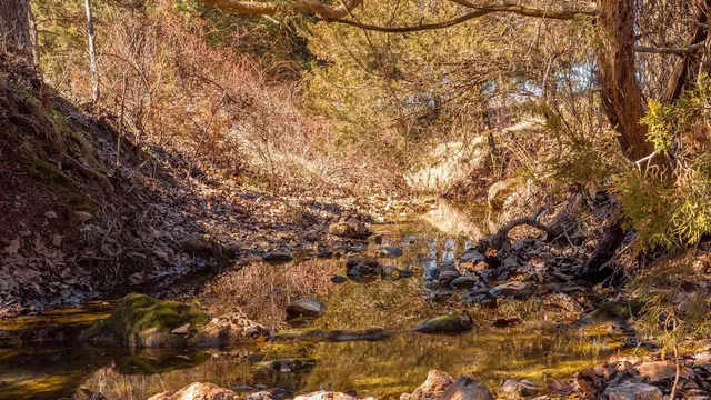 $127,575 | 0 Liesemeyer Road, Owensville, MO 65066