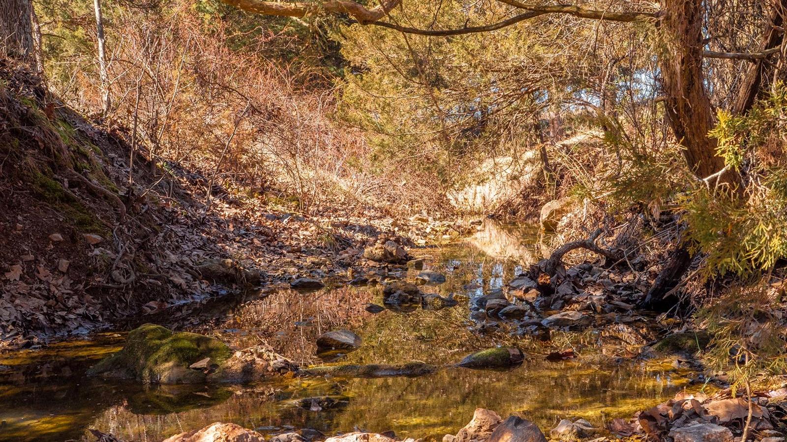 0 Liesemeyer Road Owensville, MO 65066 - Photo 17 of 29