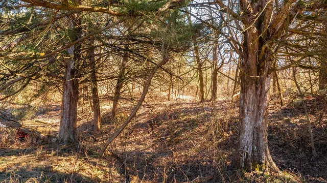 $127,575 | 0 Liesemeyer Road, Owensville, MO 65066