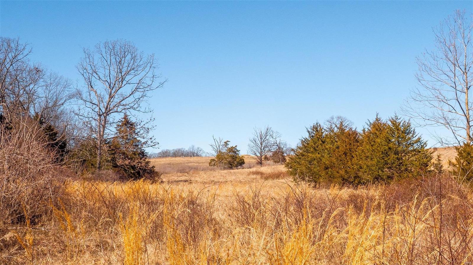 0 Liesemeyer Road Owensville, MO 65066 - Photo 20 of 29