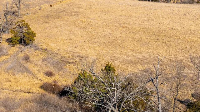 $127,575 | 0 Liesemeyer Road, Owensville, MO 65066