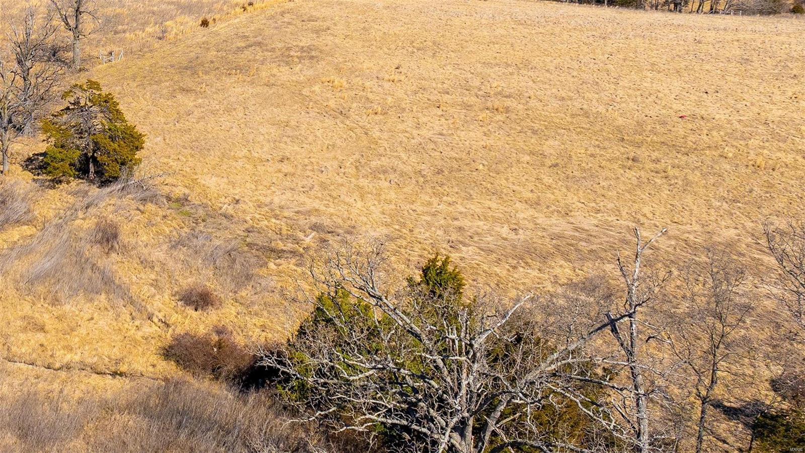 0 Liesemeyer Road Owensville, MO 65066 - Photo 2 of 29