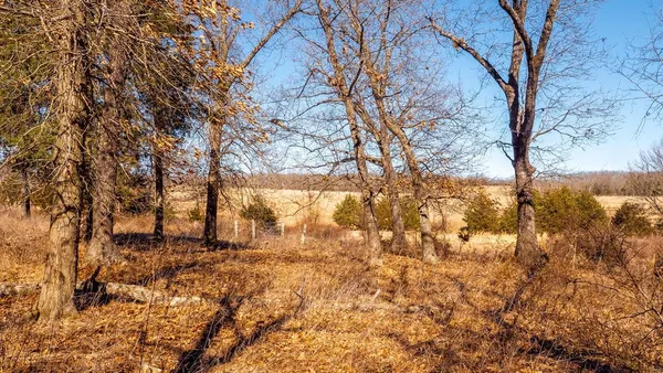 $127,575 | 0 Liesemeyer Road, Owensville, MO 65066