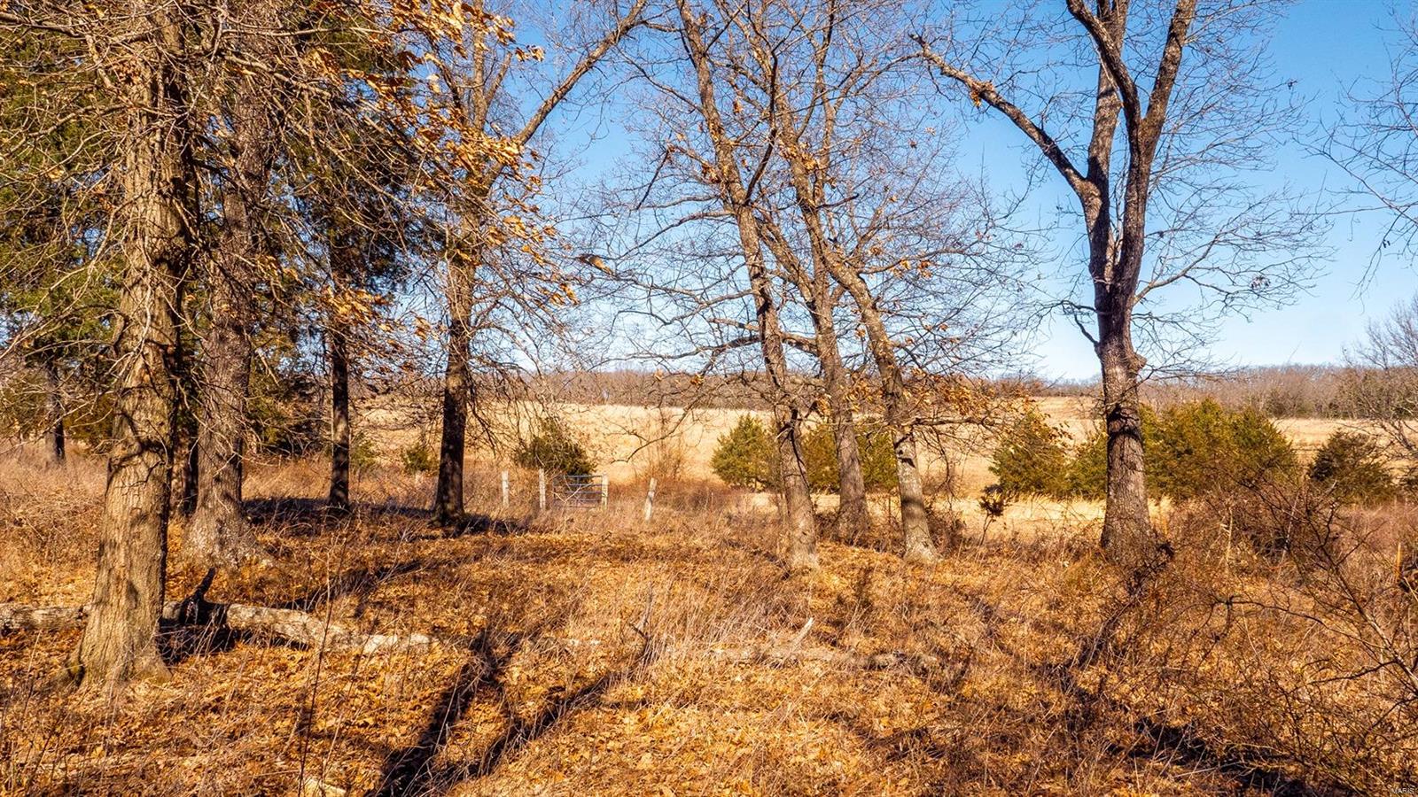 0 Liesemeyer Road Owensville, MO 65066 - Photo 23 of 29