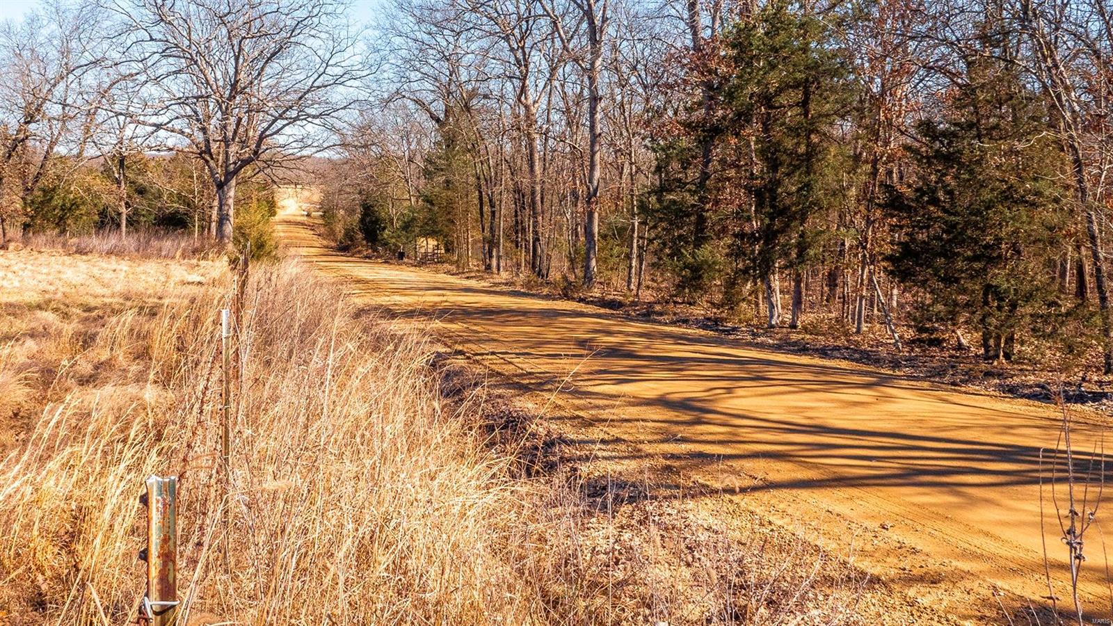 0 Liesemeyer Road Owensville, MO 65066 - Photo 26 of 29