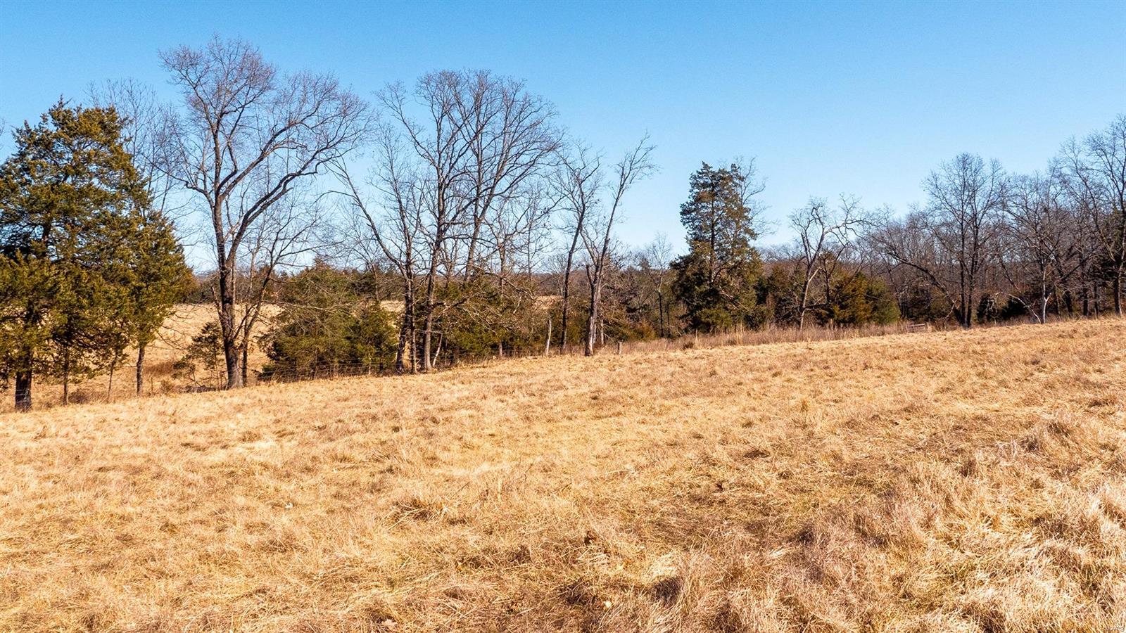 0 Liesemeyer Road Owensville, MO 65066 - Photo 27 of 29