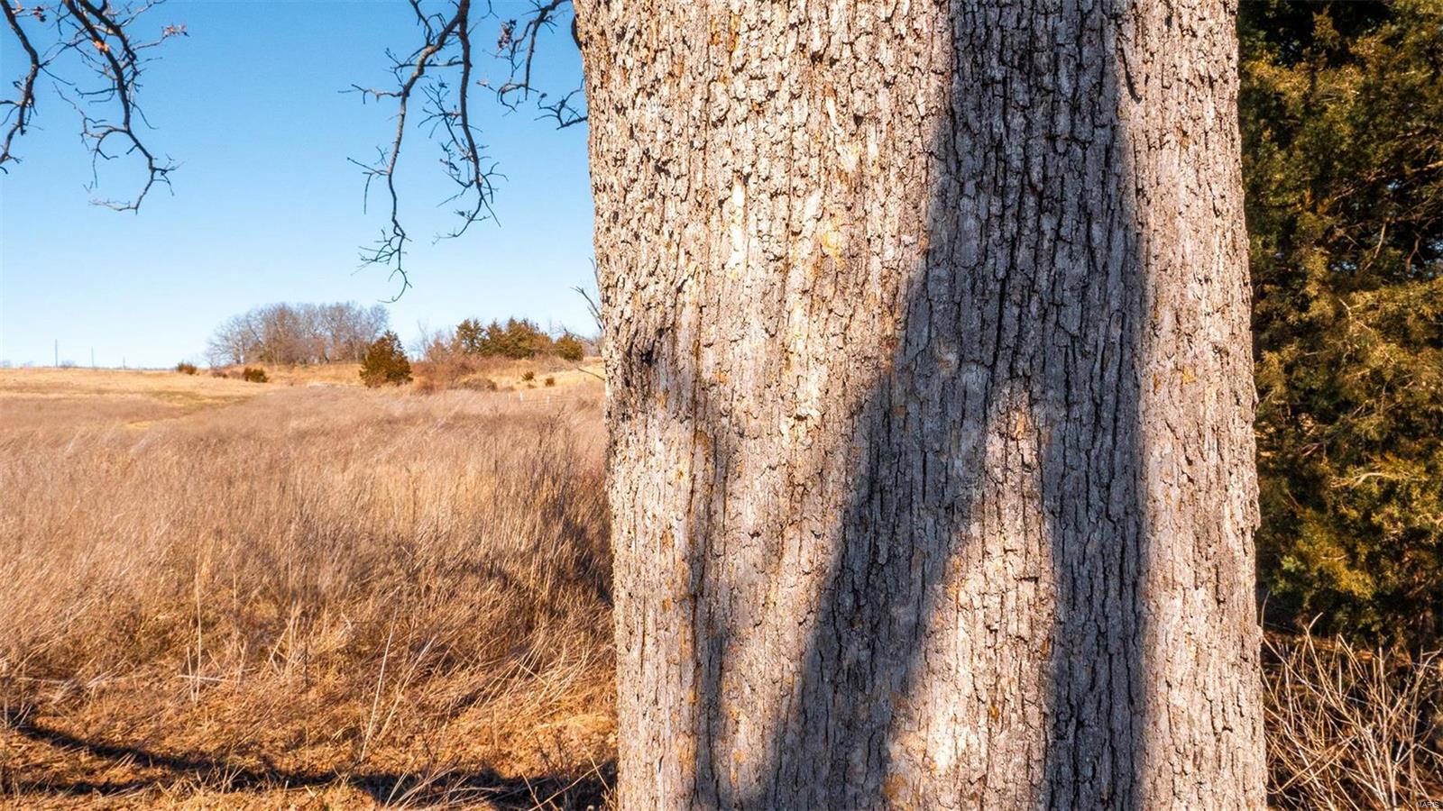 0 Liesemeyer Road Owensville, MO 65066 - Photo 29 of 29