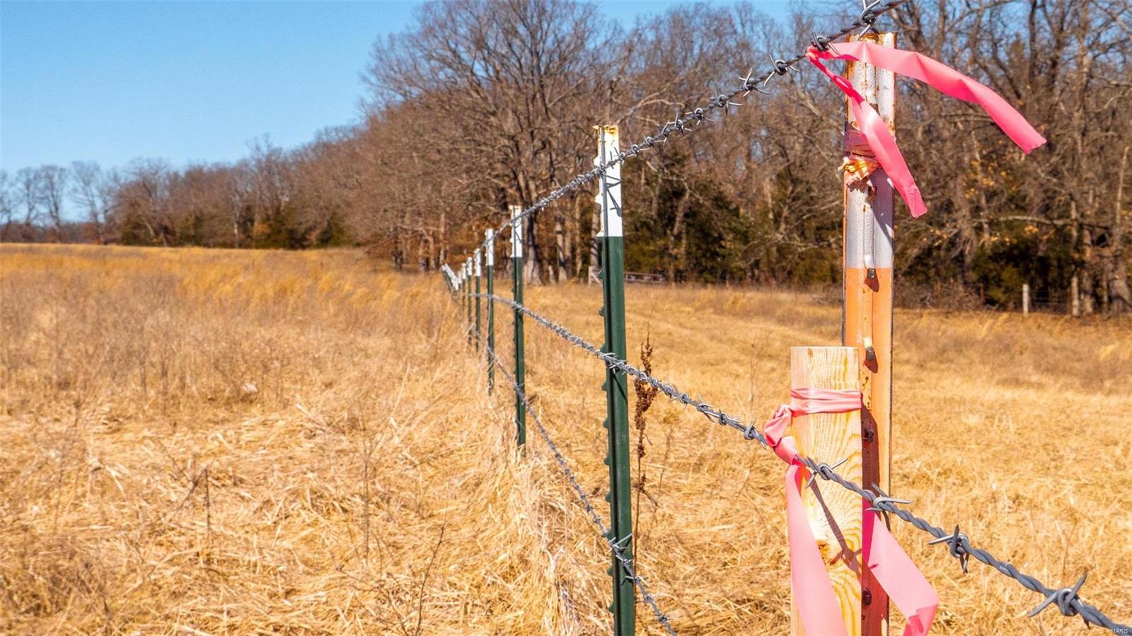 0 Liesemeyer Road Owensville, MO 65066 - Photo 9 of 29