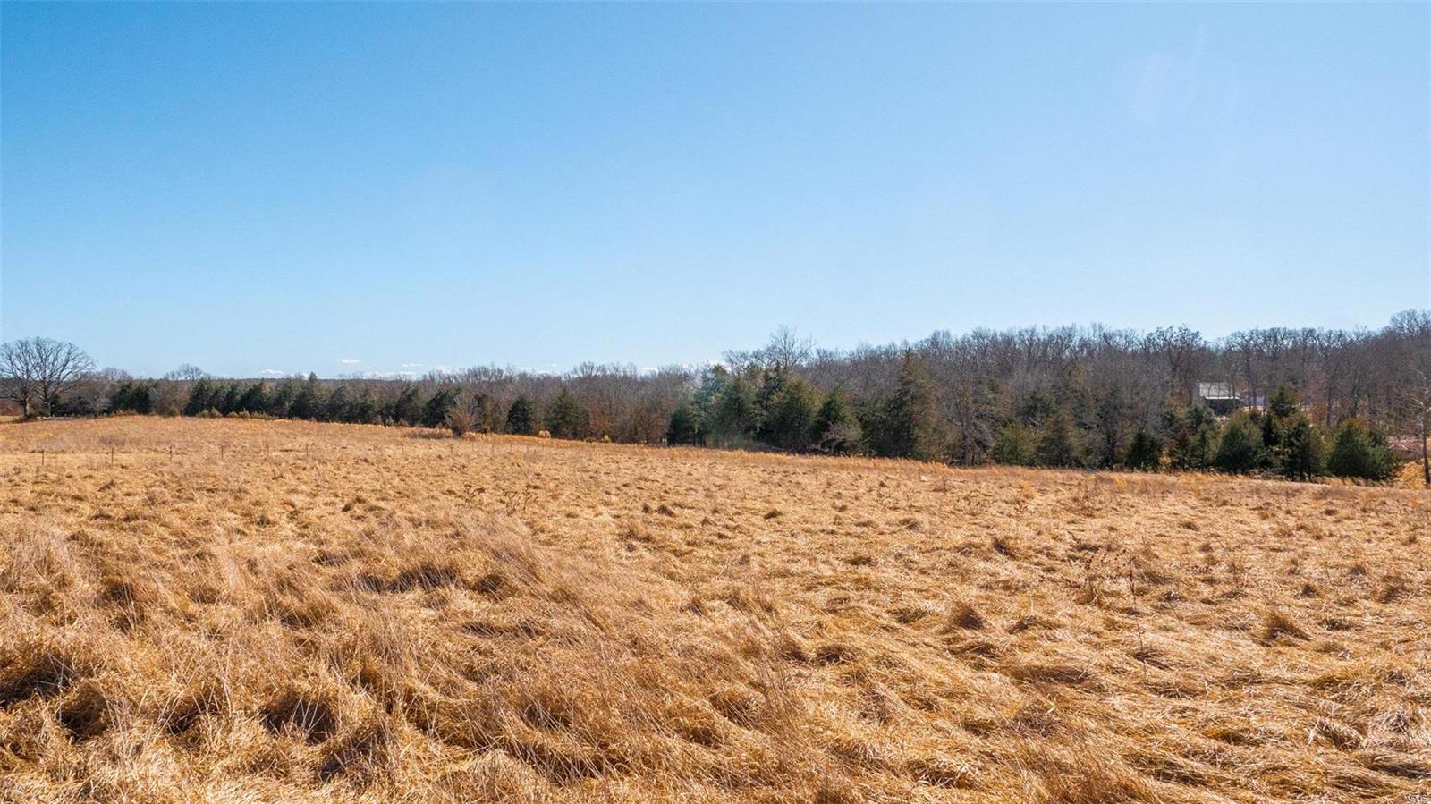 0 Liesemeyer Road Owensville, MO 65066 - Photo 10 of 29