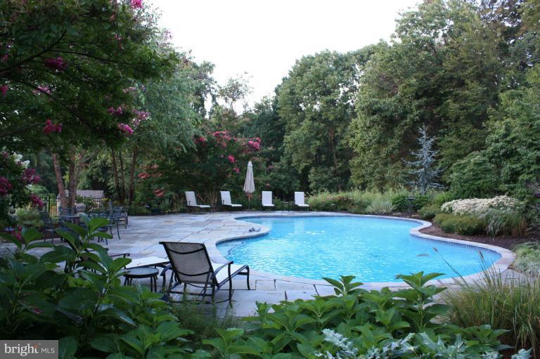 1320 Hennessy Terrace Silver Spring, MD 20906 - Photo 22 of 30 Pool