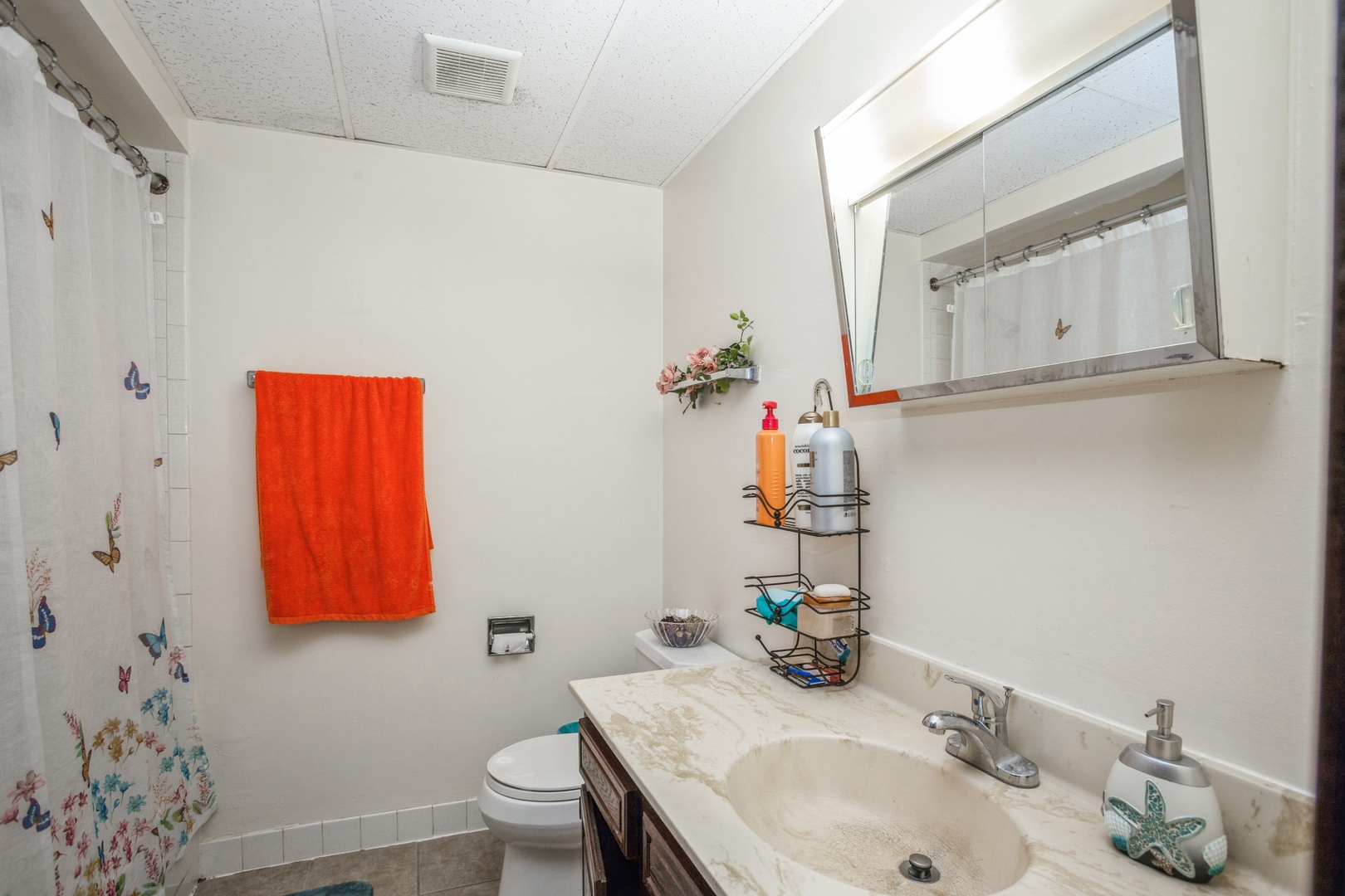 667 Swift Road Addison, IL 60101 - Photo 9 of 15