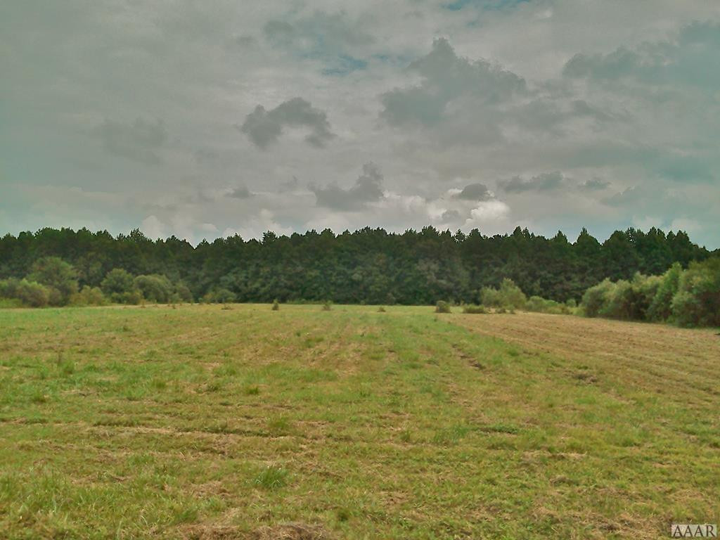 496 South Trotman Road Camden, NC 27921 - Photo 1 of 4 Main View
