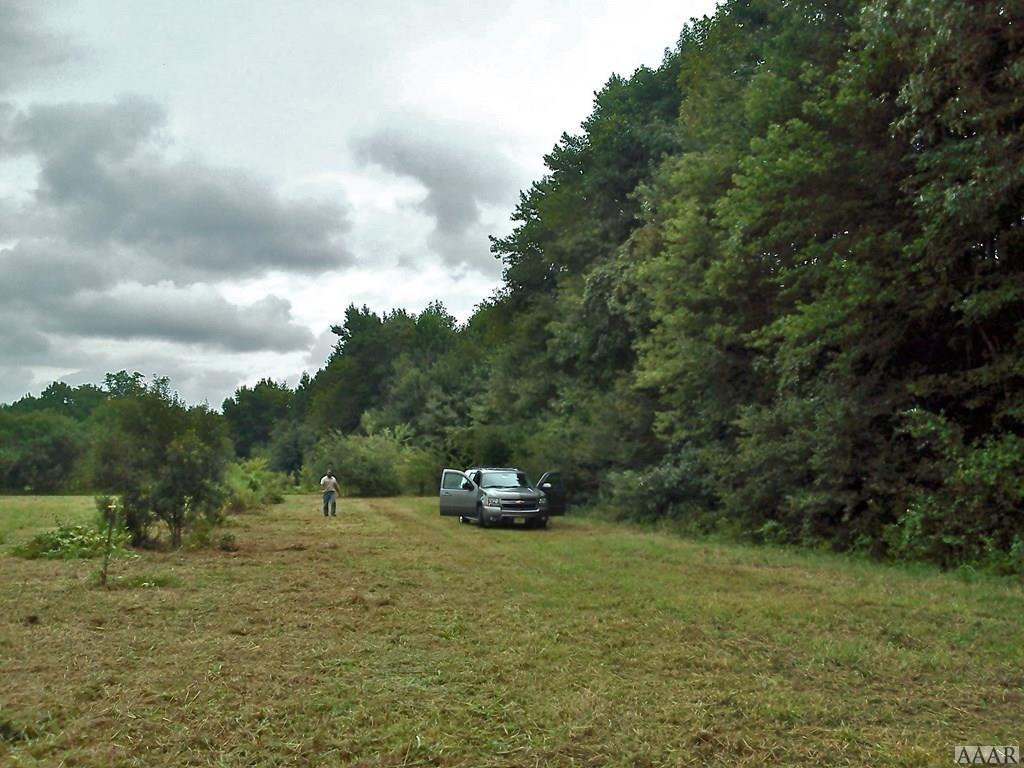 496 South Trotman Road Camden, NC 27921 - Photo 4 of 4