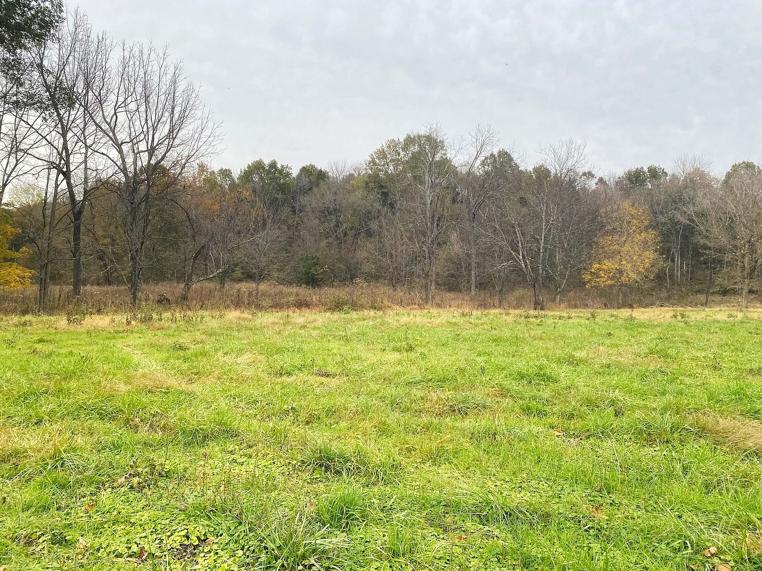0 Empson Road White House, TN 37188 - Photo 21 of 41 Gallery Image 21