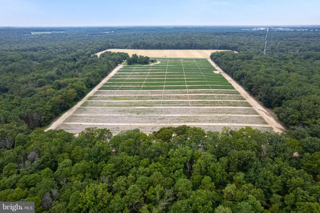 a view of swimming pool with a yard