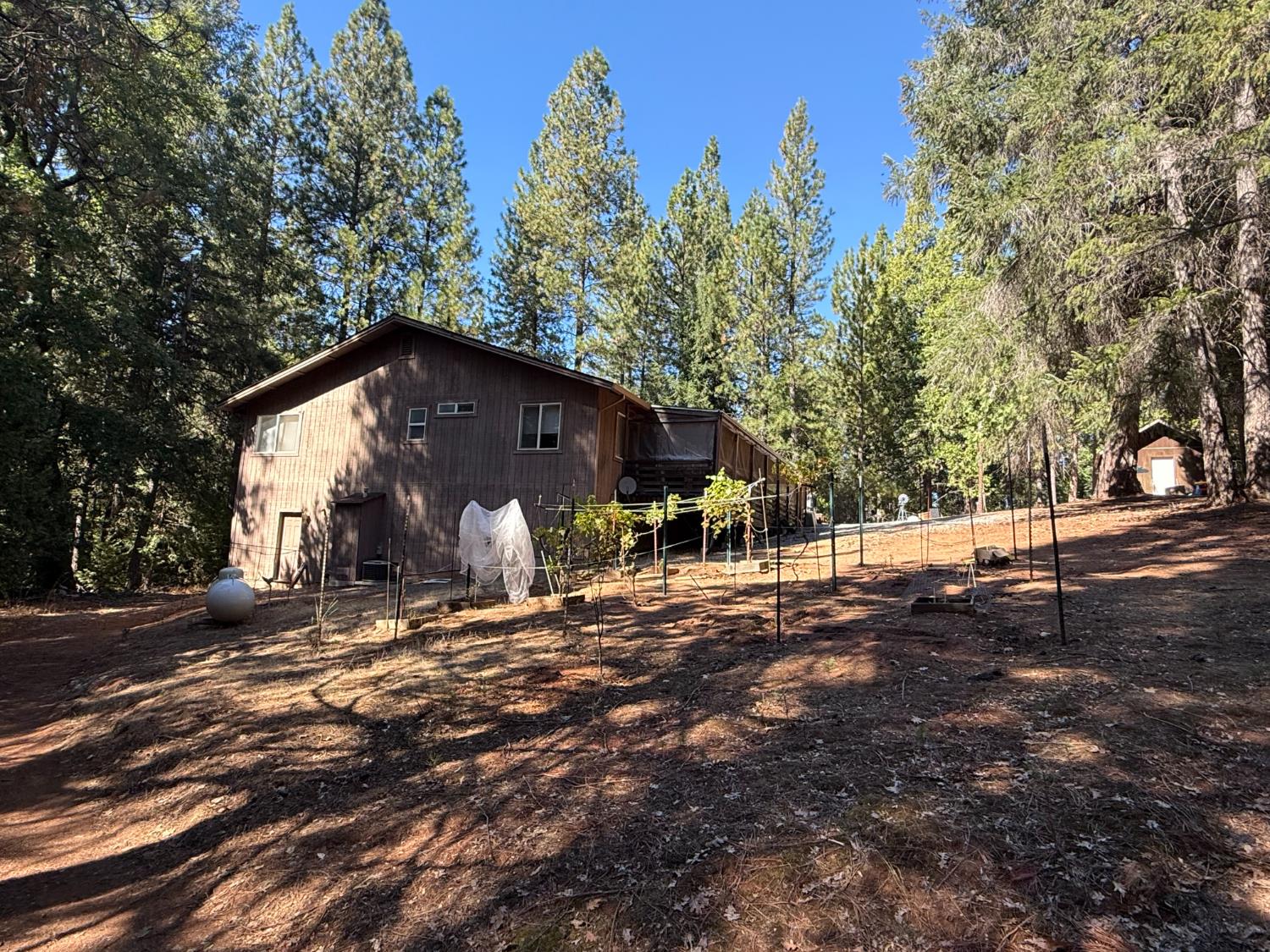 1546 Skull Springs Road West Point, CA 95255 - Photo 7 of 35 a front view of a house with a yard and trees