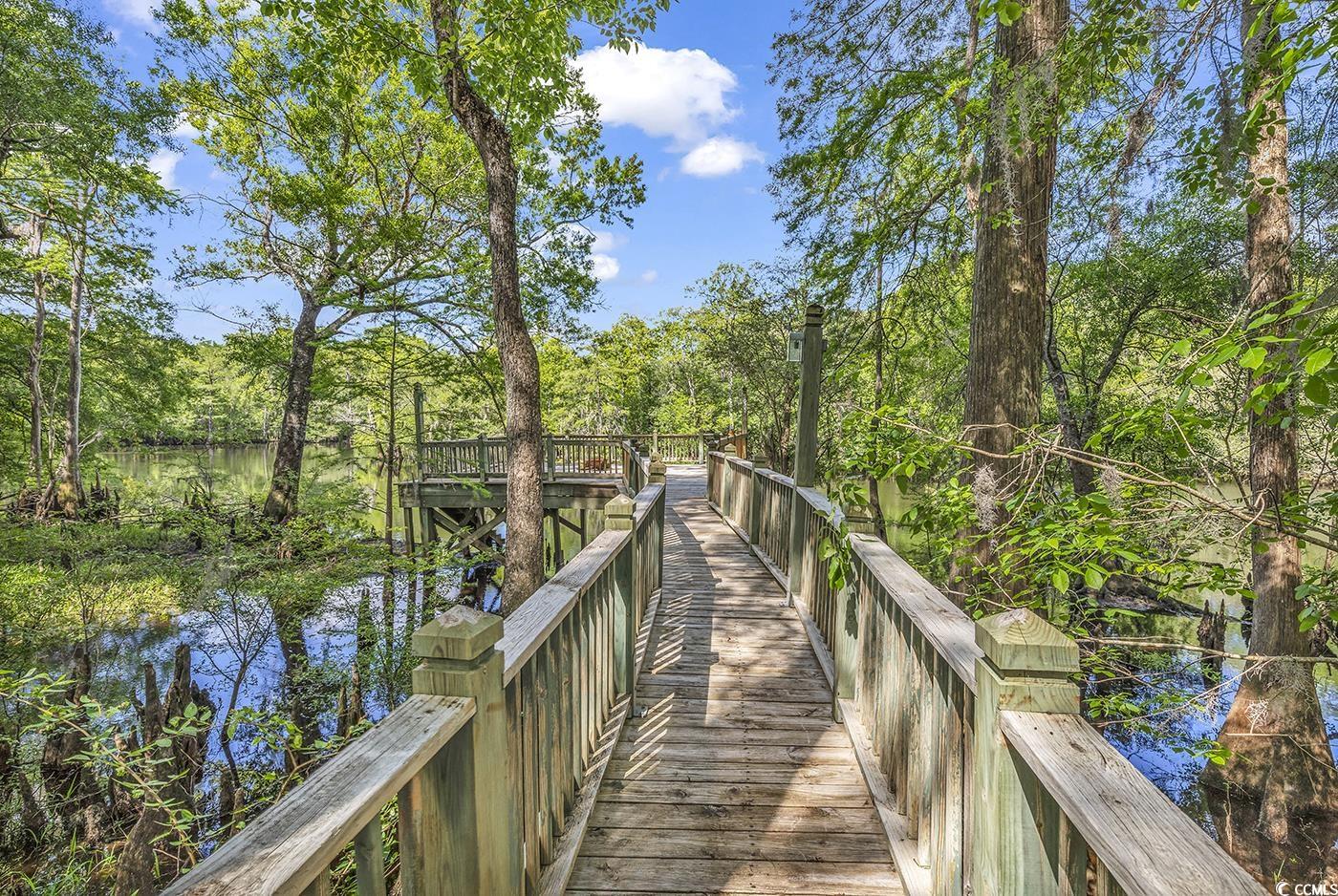 4131 Gunter Lake Road Galivants Ferry, SC 29544 - Photo 35 of 39