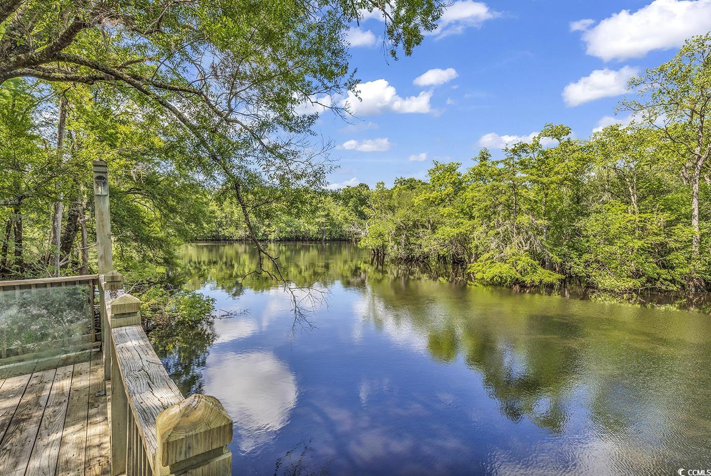 4131 Gunter Lake Road Galivants Ferry, SC 29544 - Photo 36 of 39