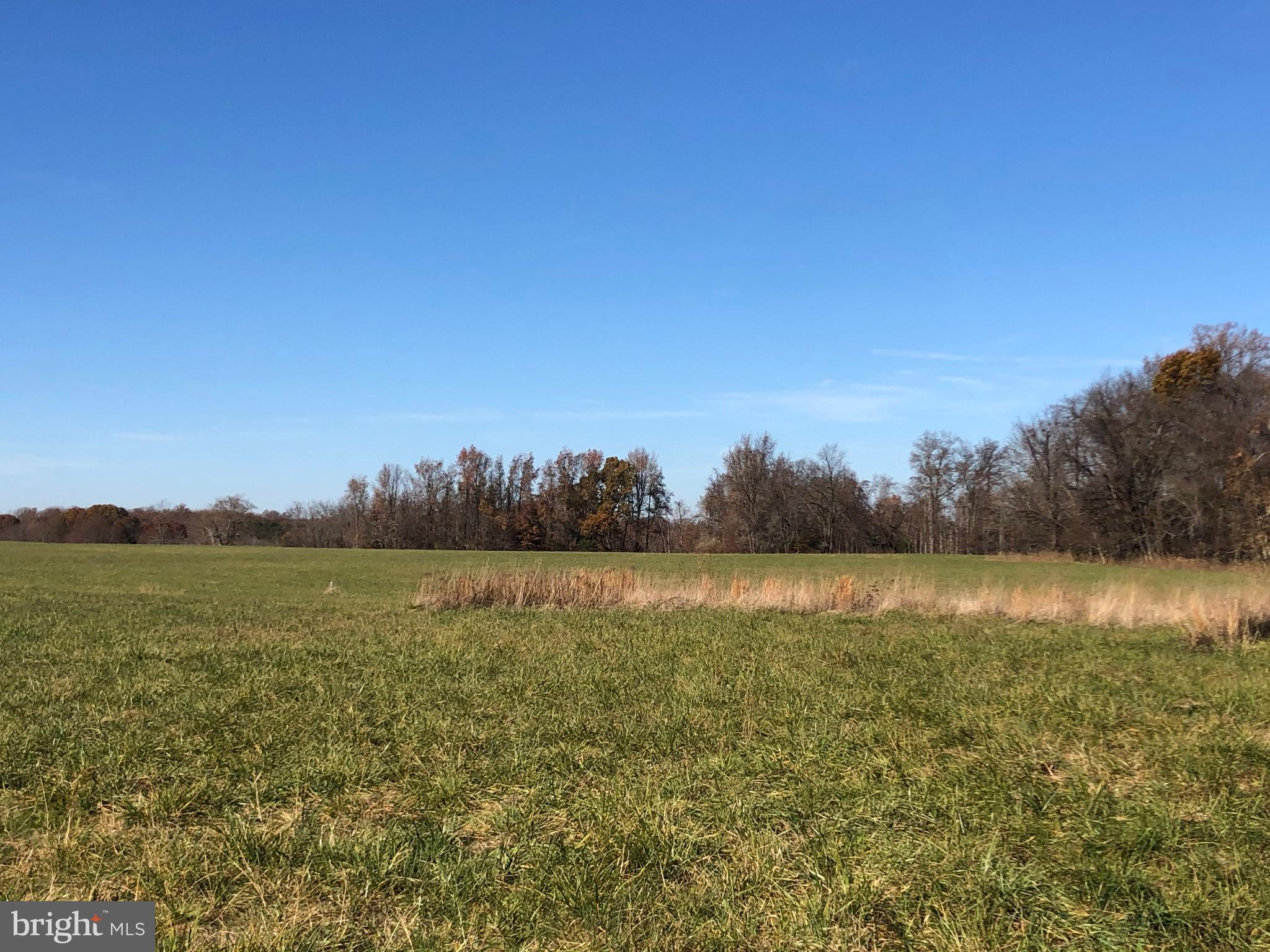 15076 Poplar Neck Road King George, VA 22485 - Photo 4 of 14