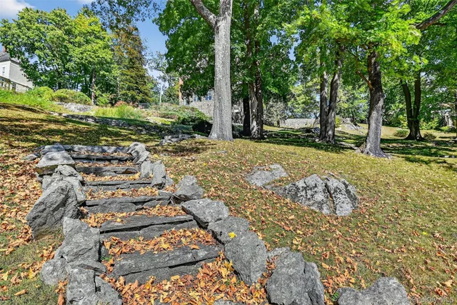 a view of a yard with plants and trees