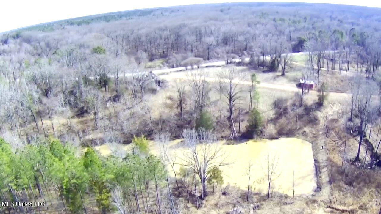 4655 Paul-Shady Grove Road Scobey, MS 38953 - Photo 11 of 60 IMG_4899