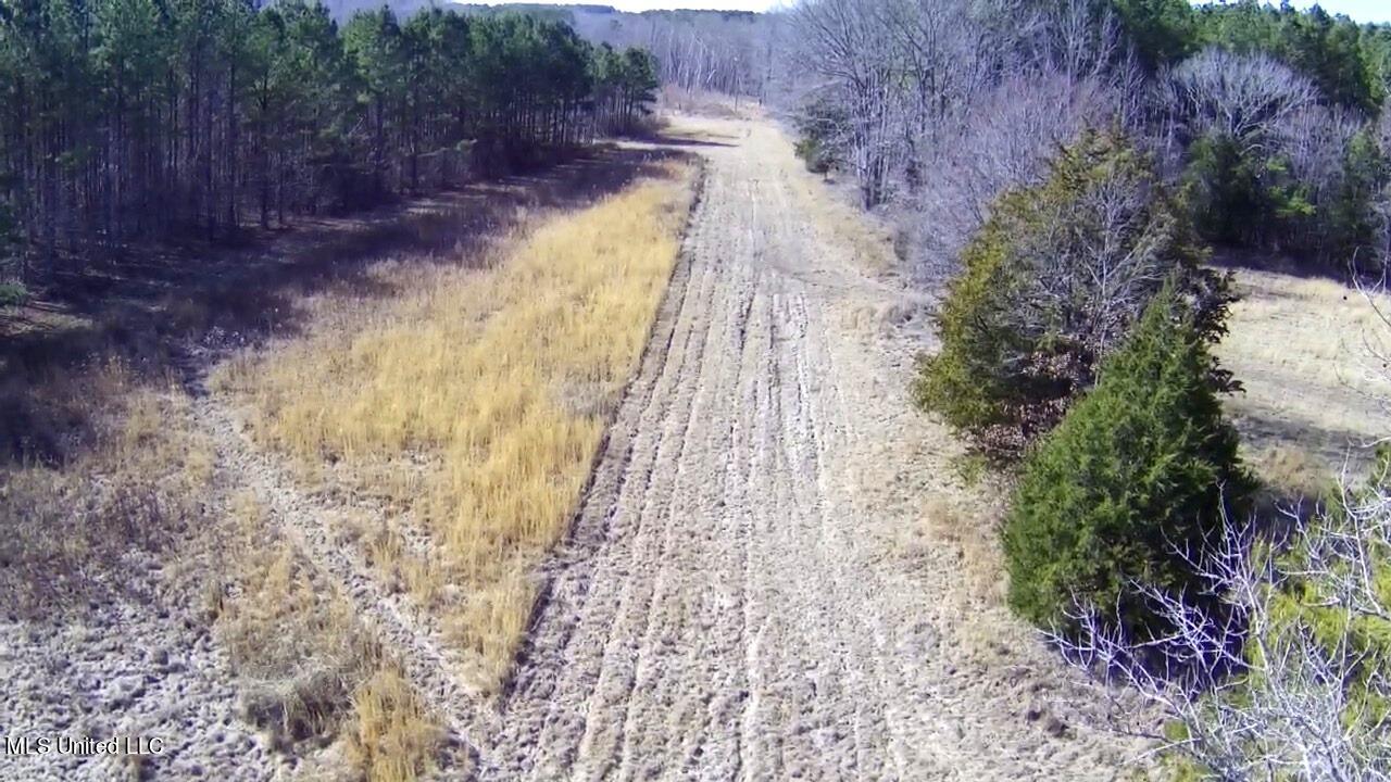4655 Paul-Shady Grove Road Scobey, MS 38953 - Photo 15 of 60 IMG_4910