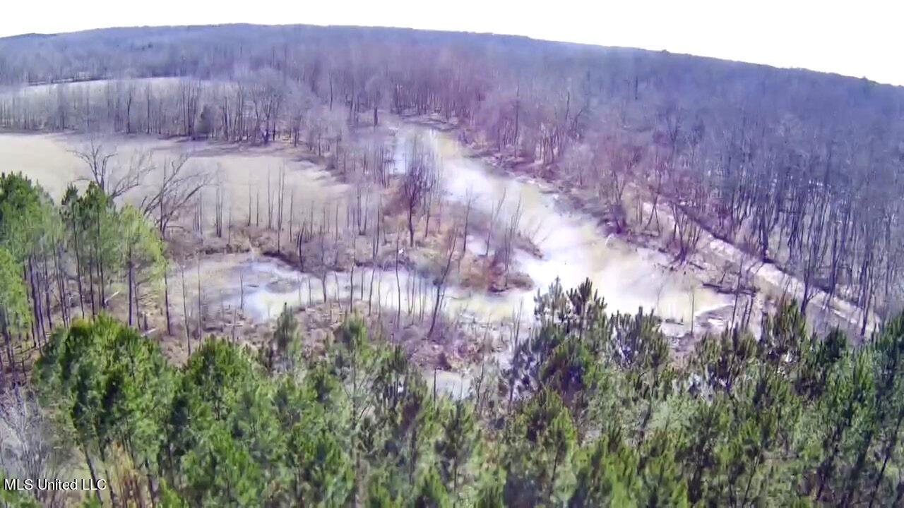 4655 Paul-Shady Grove Road Scobey, MS 38953 - Photo 16 of 60 IMG_4912