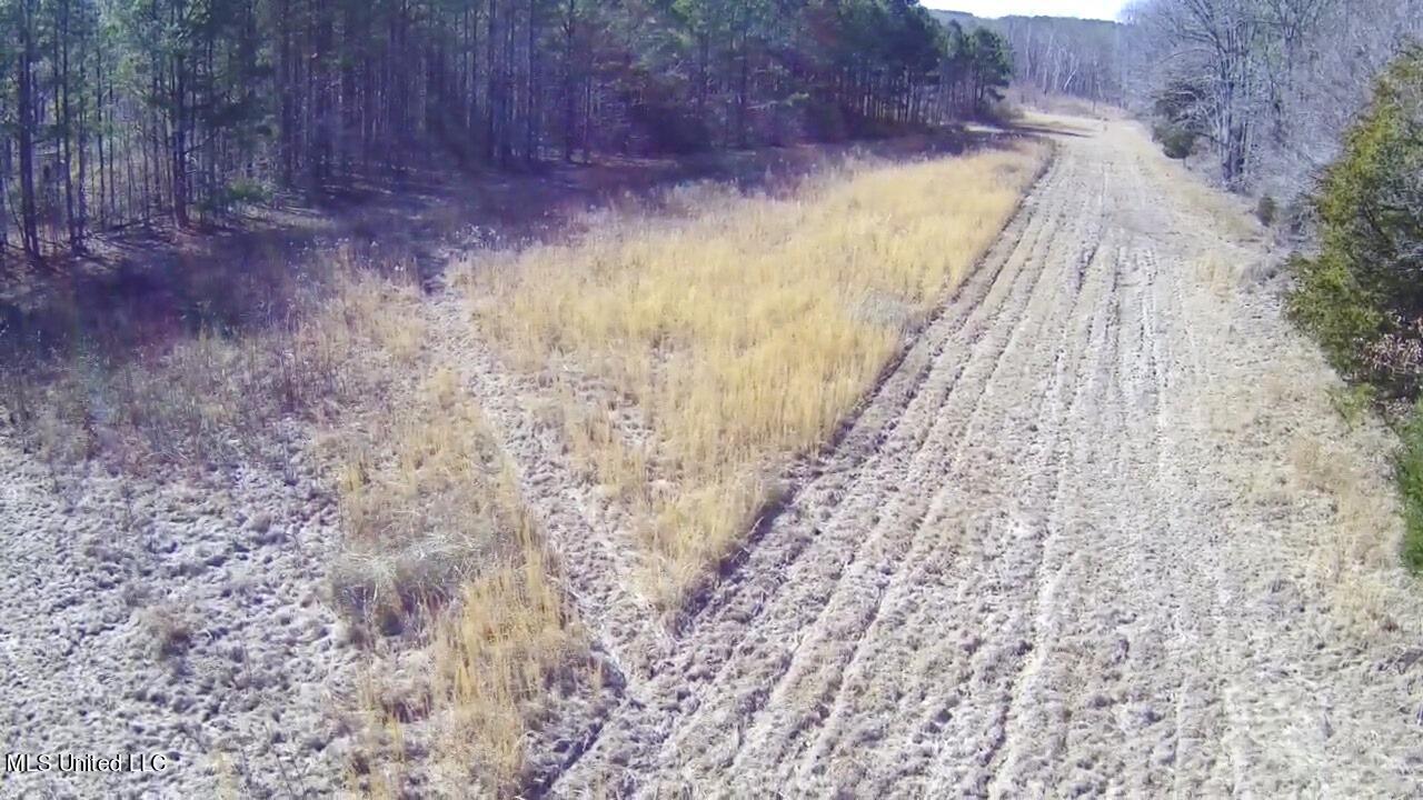 4655 Paul-Shady Grove Road Scobey, MS 38953 - Photo 18 of 60 IMG_4916