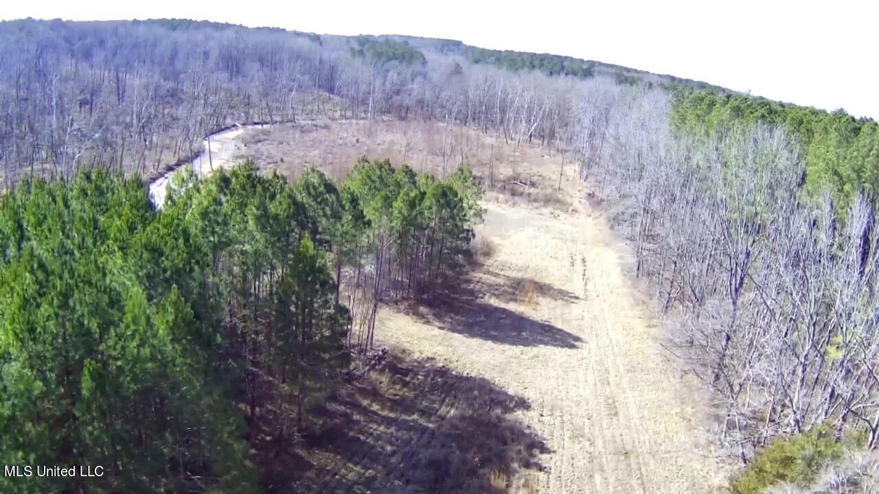 4655 Paul-Shady Grove Road Scobey, MS 38953 - Photo 19 of 60 IMG_4917