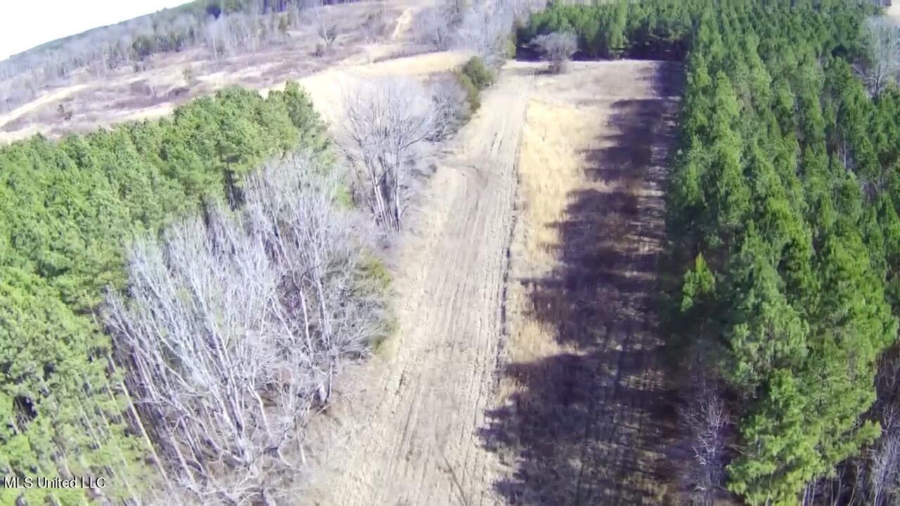 4655 Paul-Shady Grove Road Scobey, MS 38953 - Photo 21 of 60 IMG_4922