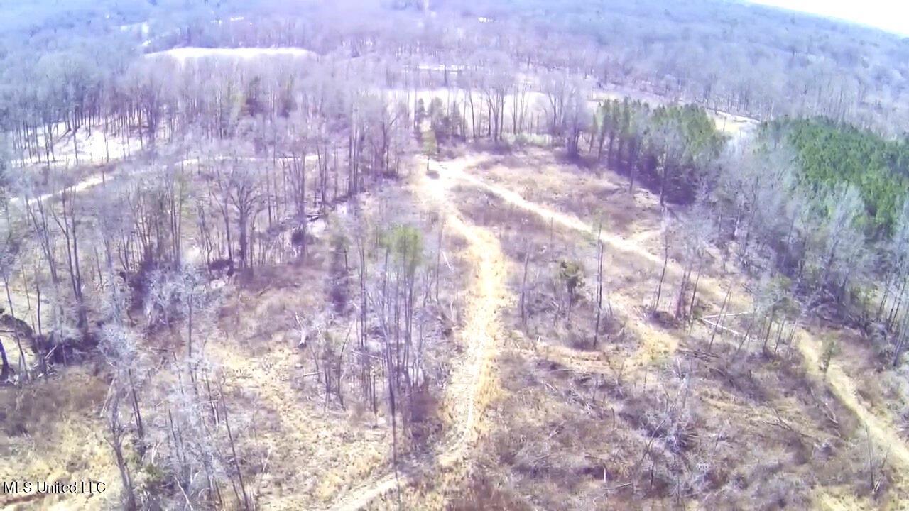 4655 Paul-Shady Grove Road Scobey, MS 38953 - Photo 23 of 60 IMG_4900
