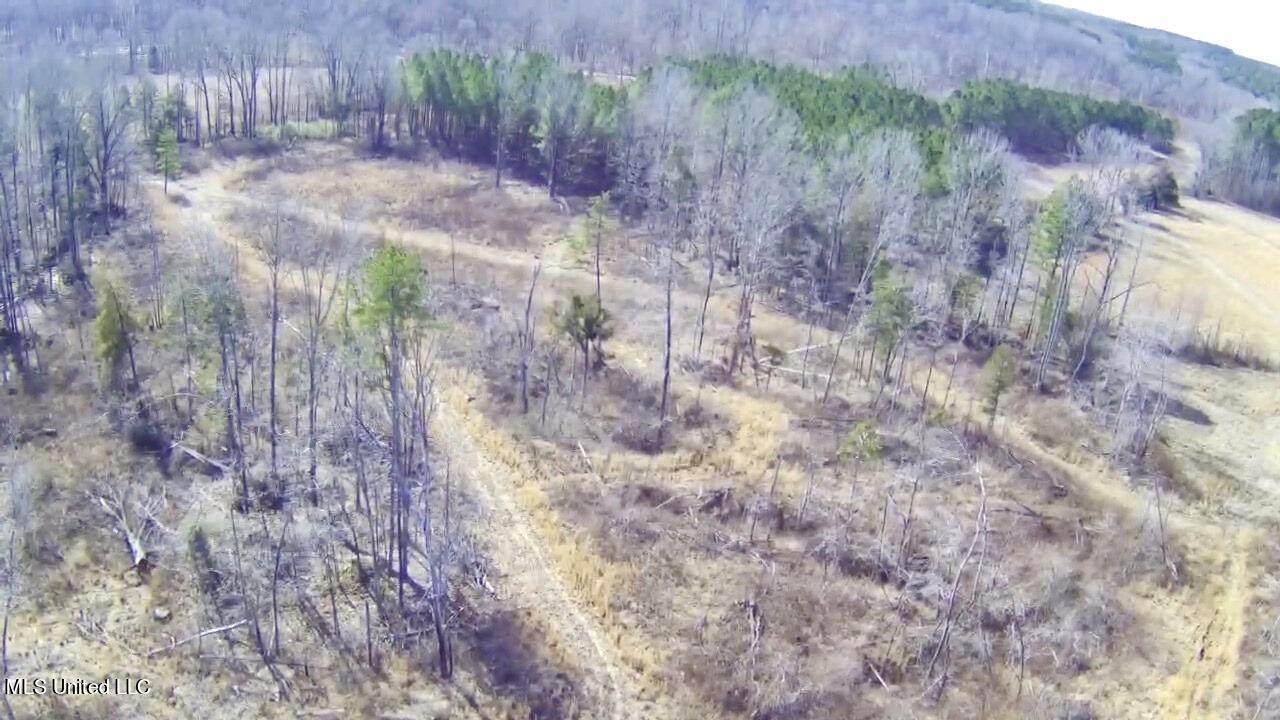4655 Paul-Shady Grove Road Scobey, MS 38953 - Photo 29 of 60 IMG_4893