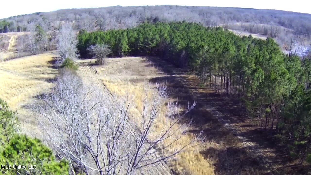 4655 Paul-Shady Grove Road Scobey, MS 38953 - Photo 30 of 60 IMG_4932