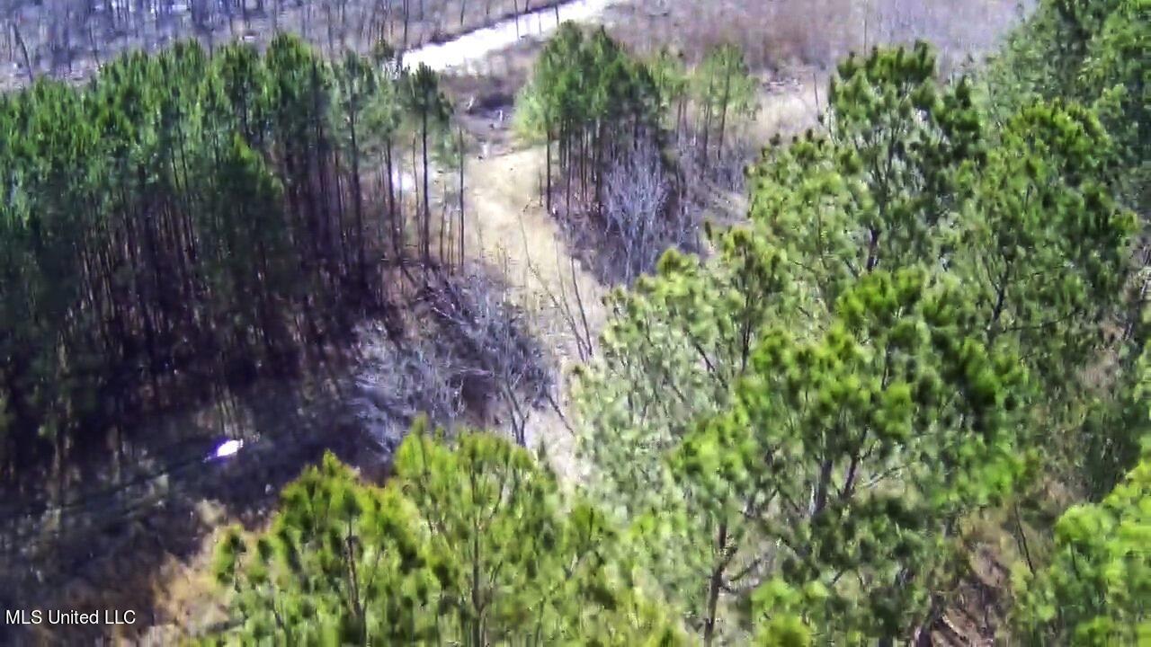 4655 Paul-Shady Grove Road Scobey, MS 38953 - Photo 31 of 60 IMG_4933