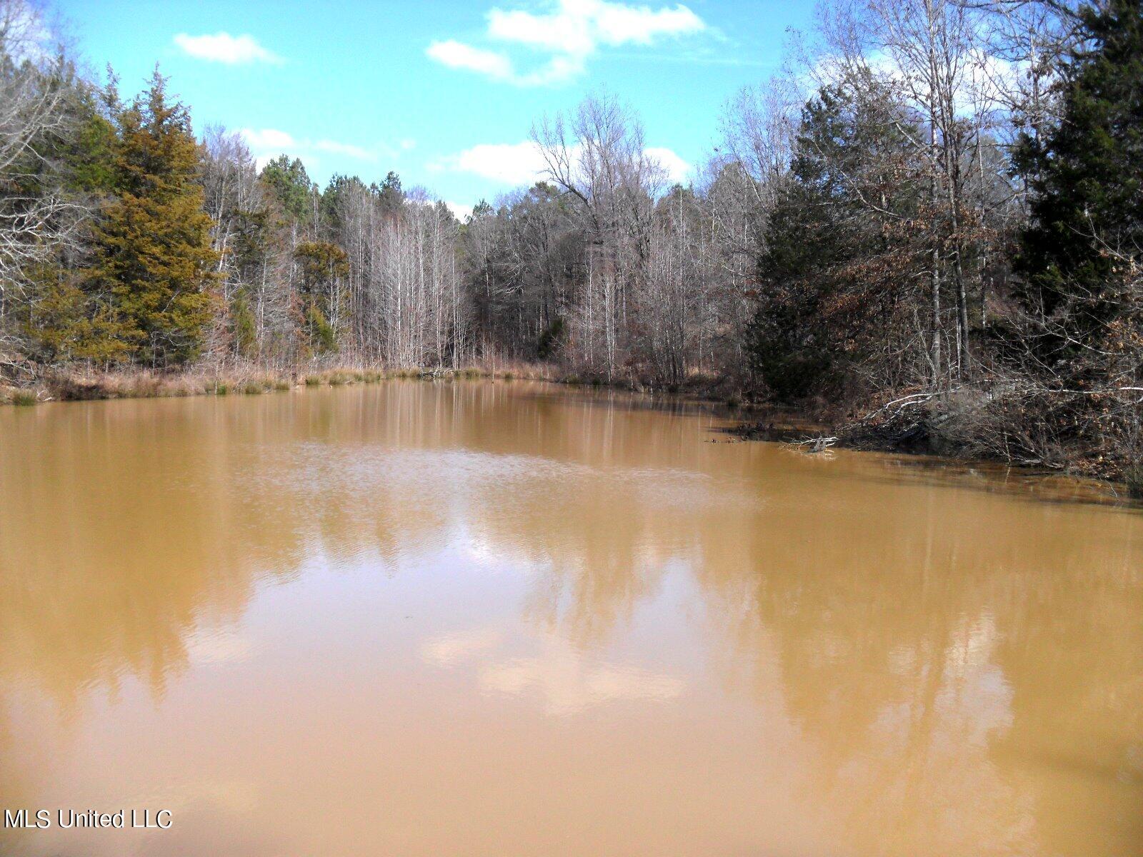 4655 Paul-Shady Grove Road Scobey, MS 38953 - Photo 38 of 60 SAM_0760