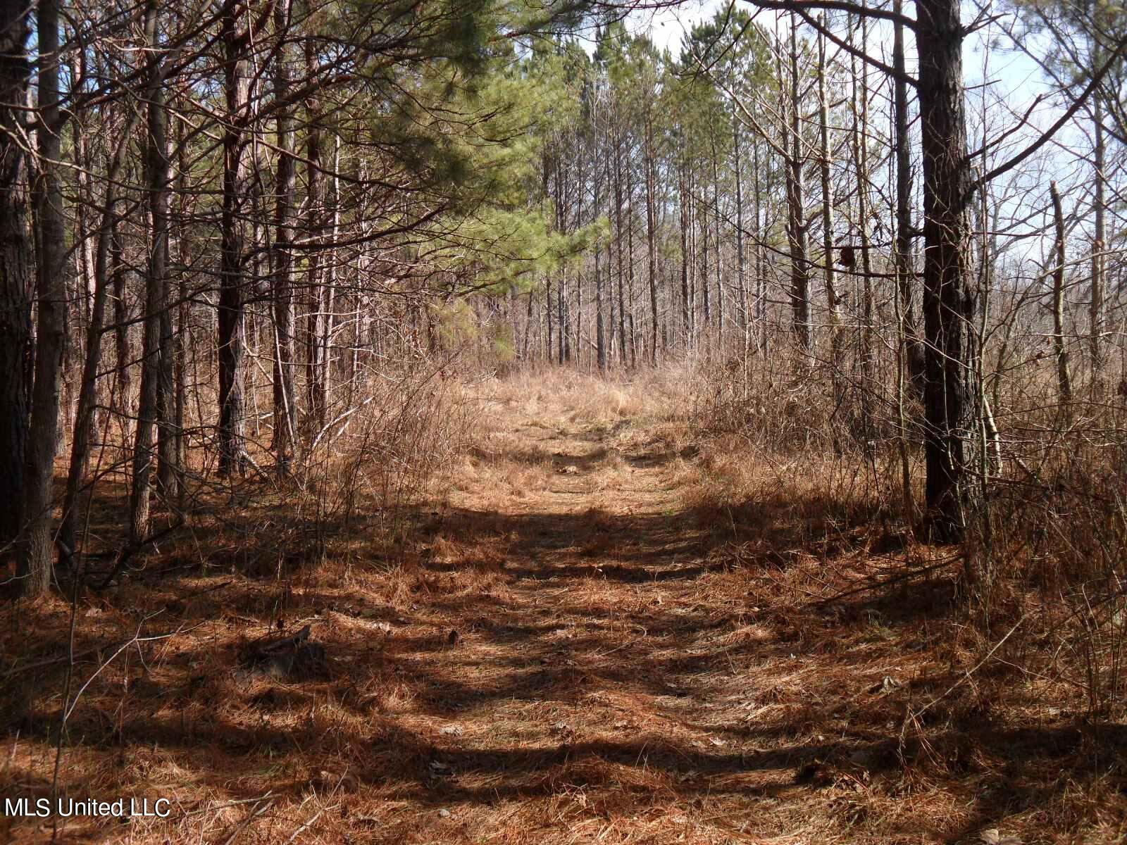 4655 Paul-Shady Grove Road Scobey, MS 38953 - Photo 39 of 60 SAM_0763