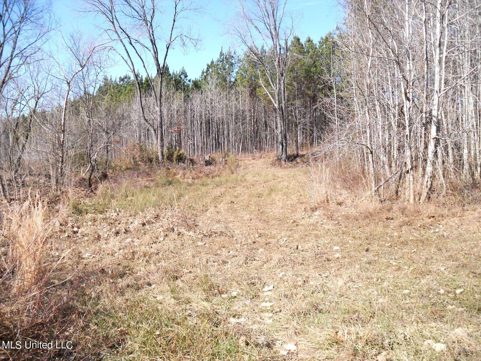 4655 Paul-Shady Grove Road Scobey, MS 38953 - Photo 40 of 60 SAM_0765