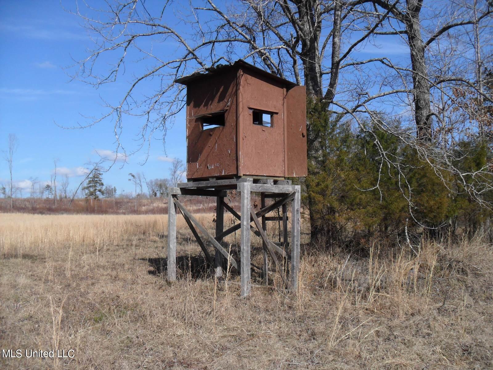 4655 Paul-Shady Grove Road Scobey, MS 38953 - Photo 43 of 60 SAM_0770