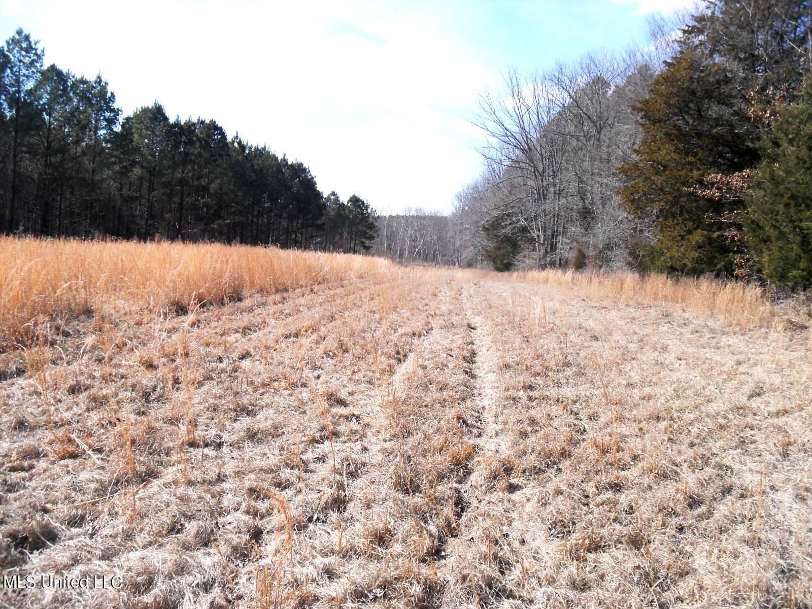 4655 Paul-Shady Grove Road Scobey, MS 38953 - Photo 44 of 60 SAM_0771