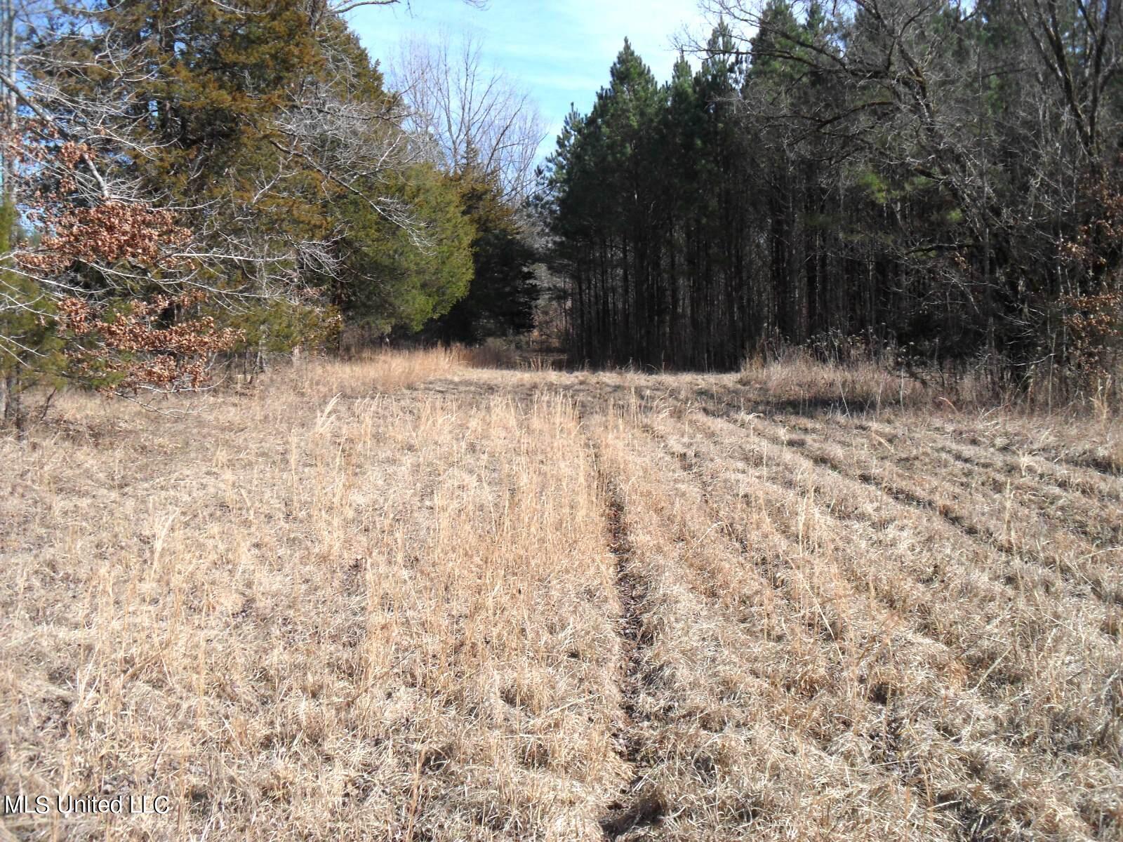 4655 Paul-Shady Grove Road Scobey, MS 38953 - Photo 45 of 60 SAM_0772