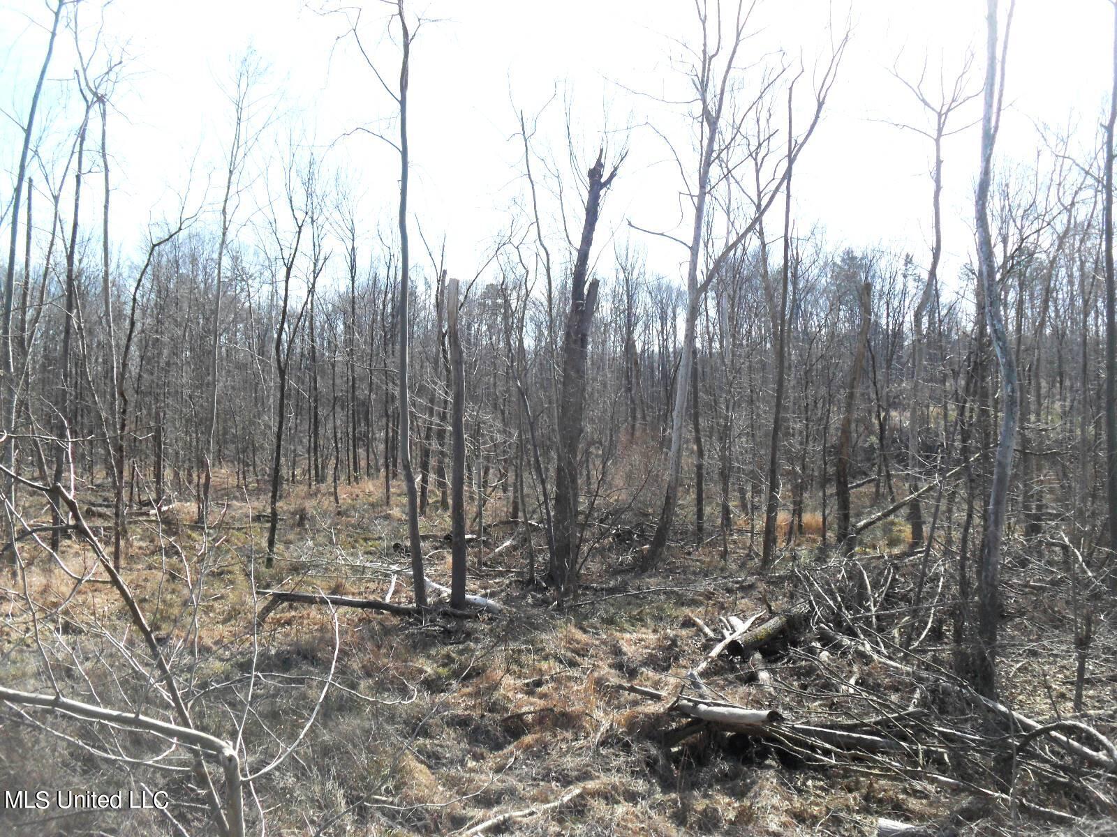 4655 Paul-Shady Grove Road Scobey, MS 38953 - Photo 47 of 60 SAM_0777