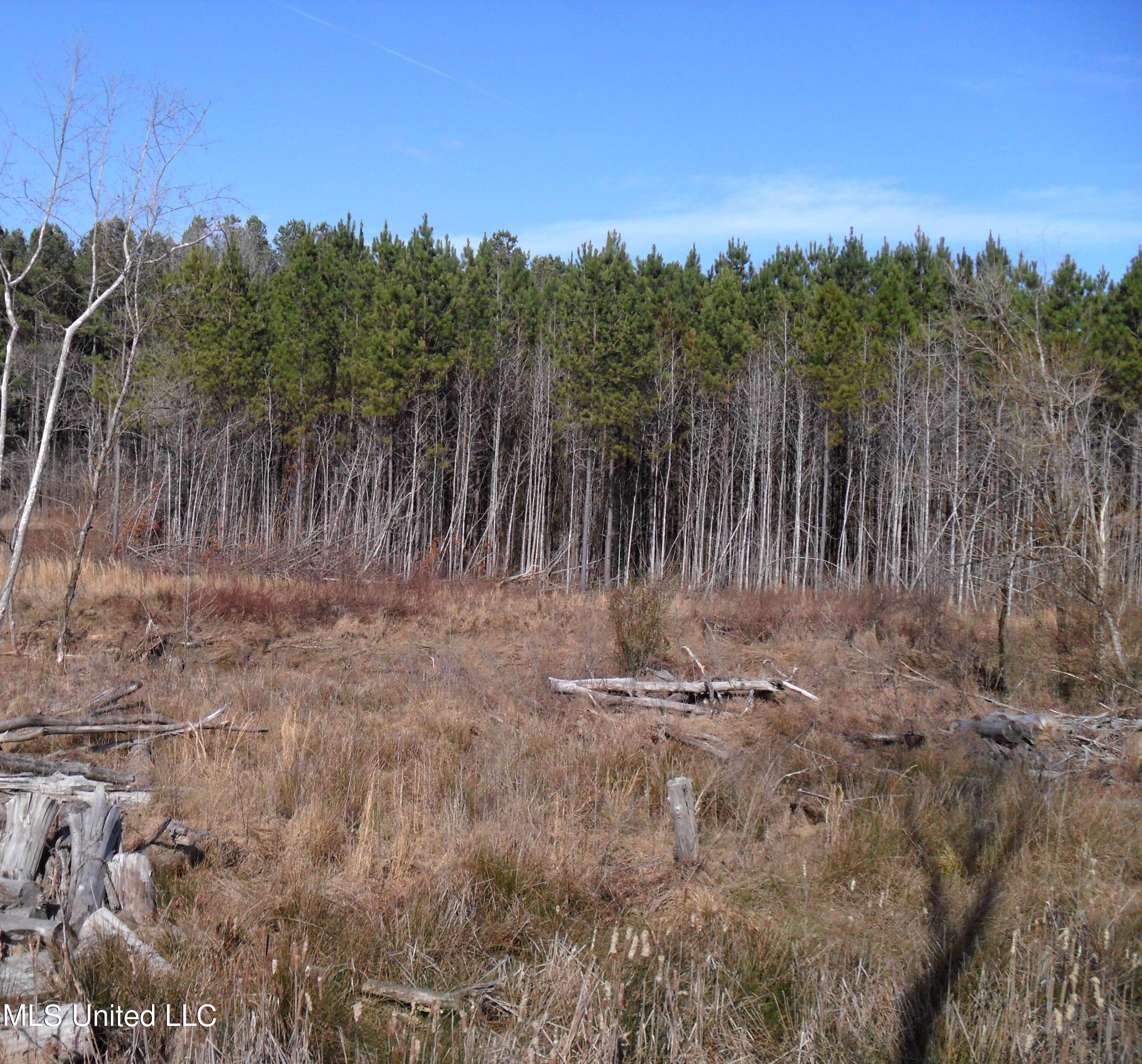 4655 Paul-Shady Grove Road Scobey, MS 38953 - Photo 49 of 60 SAM_0781