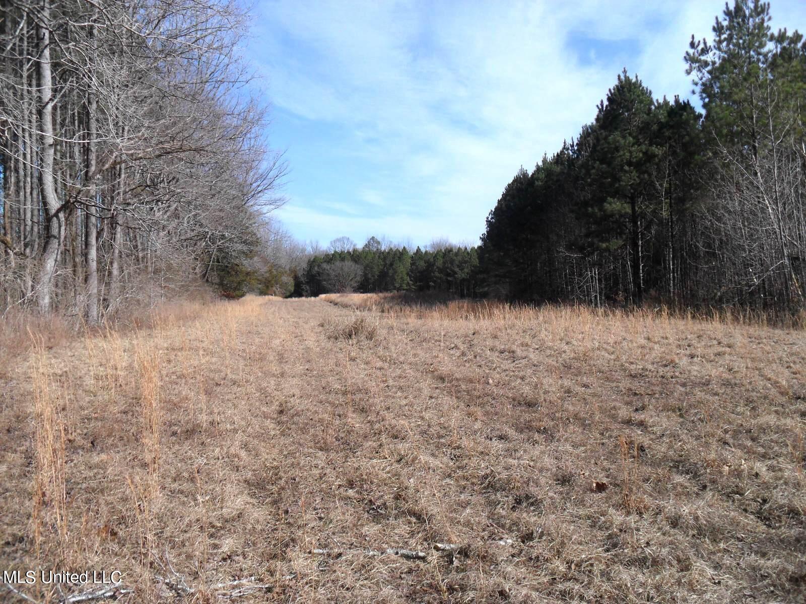 4655 Paul-Shady Grove Road Scobey, MS 38953 - Photo 50 of 60 SAM_0783