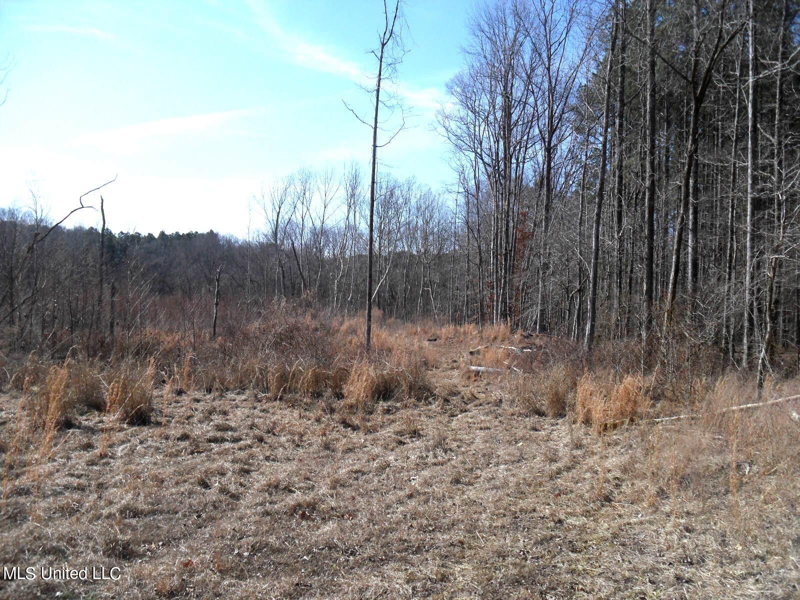 4655 Paul-Shady Grove Road Scobey, MS 38953 - Photo 51 of 60 SAM_0785