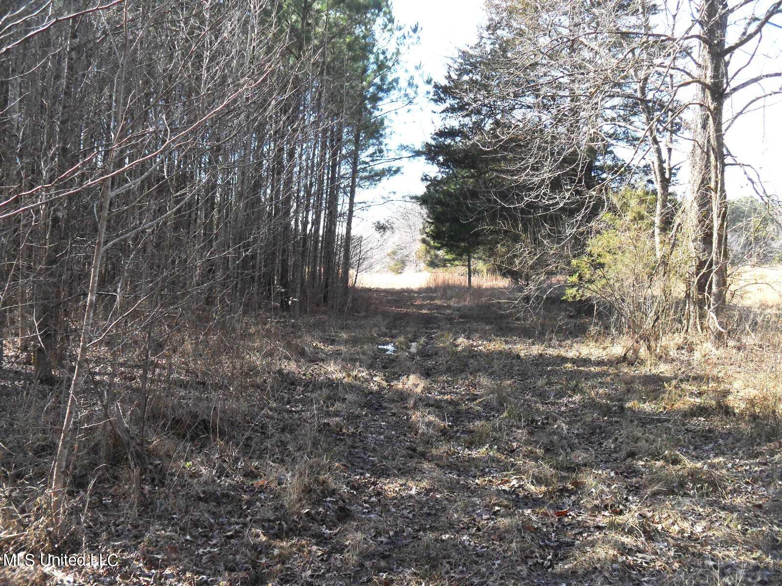 4655 Paul-Shady Grove Road Scobey, MS 38953 - Photo 54 of 60 SAM_0790