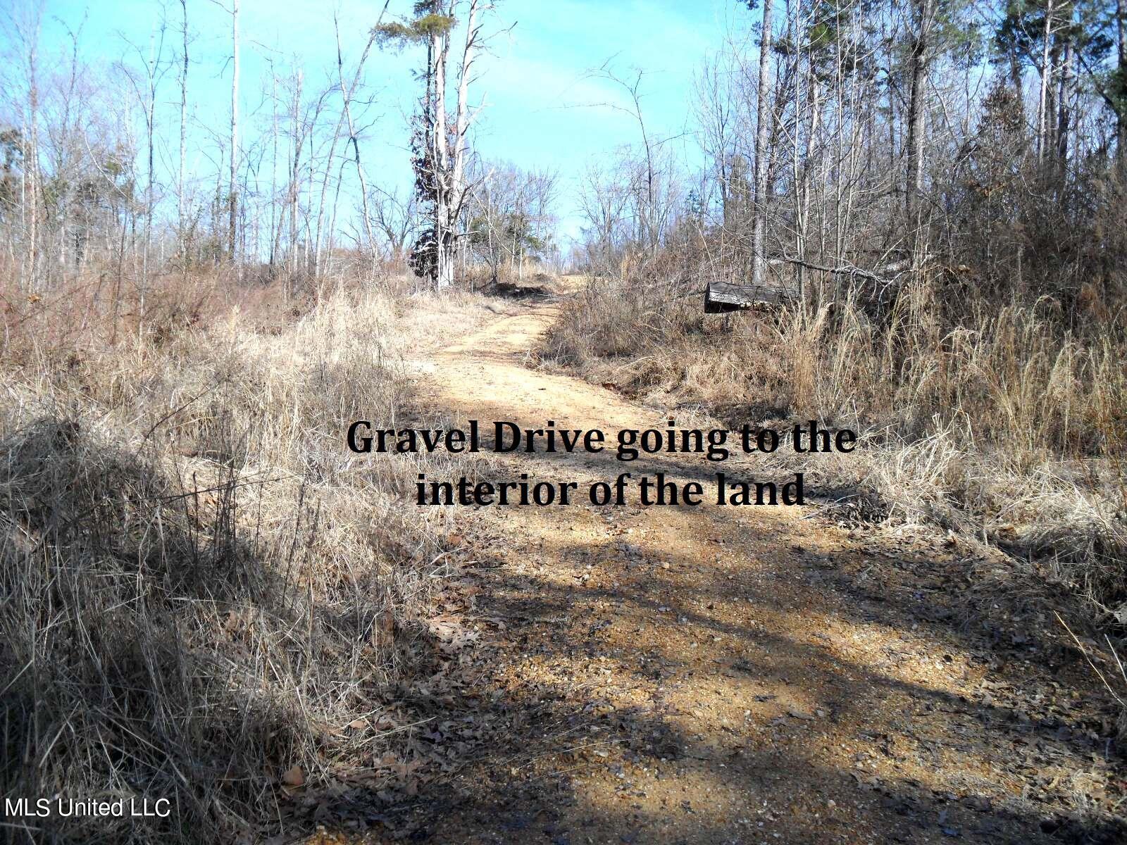 4655 Paul-Shady Grove Road Scobey, MS 38953 - Photo 55 of 60 SAM_0791